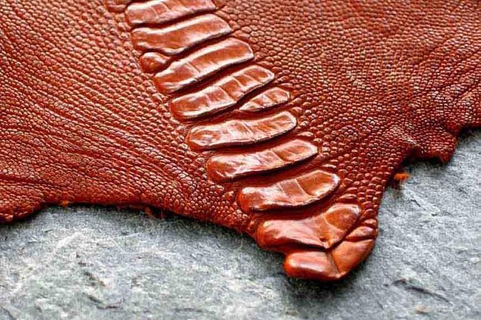 Cách phân biệt da đà điểu thật ở phần da mình